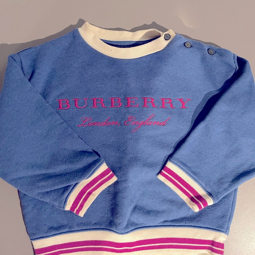 Blue pink and white Burberry sweatshirt